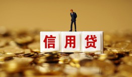 东莞20哪有个人借贷-东莞20小额贷款公司-东莞20私借空放免费上门