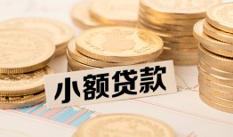 东莞20身份证贷款平台-东莞20私人借贷不查征信-东莞20空放借钱