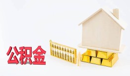 东莞20小额个人借贷-东莞20身份证小额贷款-东莞20小额贷款当天放款