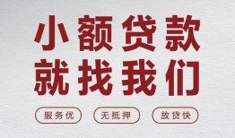 东莞20民间贷款-东莞20小额贷款不查征信-东莞20贷款信用贷款