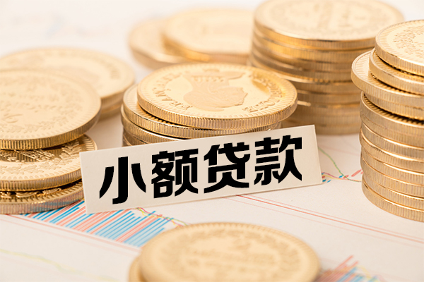 东莞20身份证贷款平台