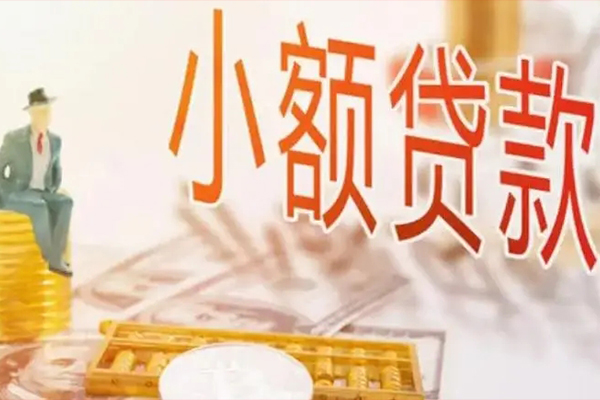 东莞20私借空放短借